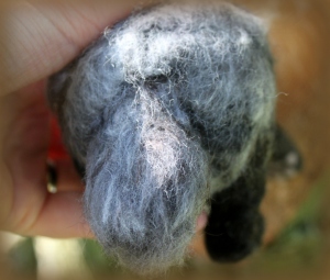 Needle felted badger (6)