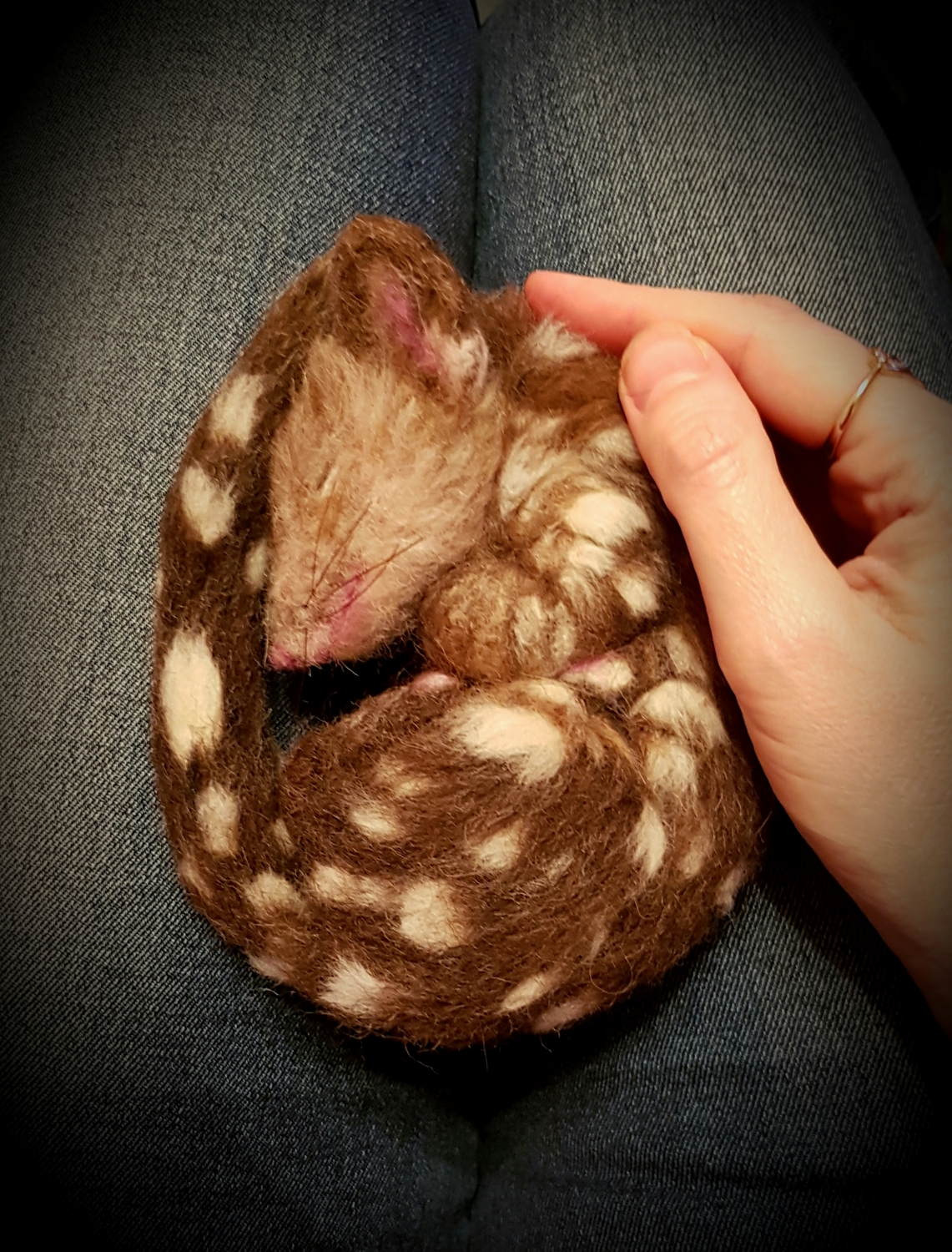 02-Needle felted quoll (26)